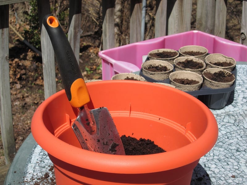 Container Gardening Ideas
